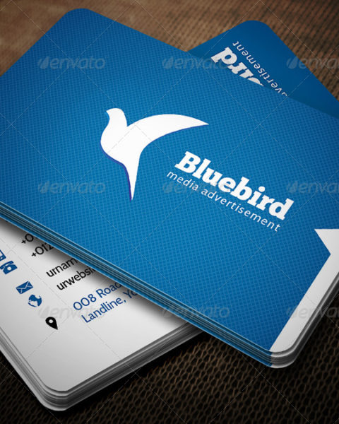 Biglietto da visita multiuso-1