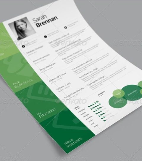 Modello curriculum colorato