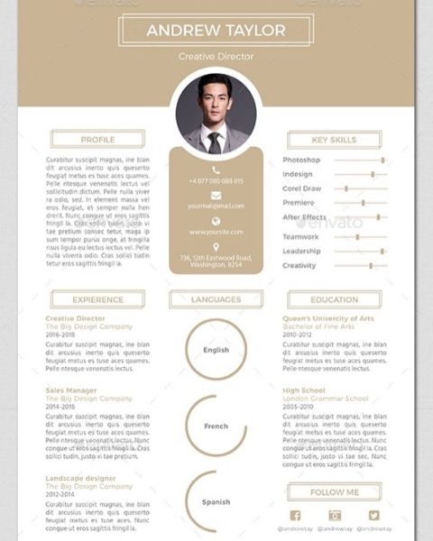 Modello curriculum