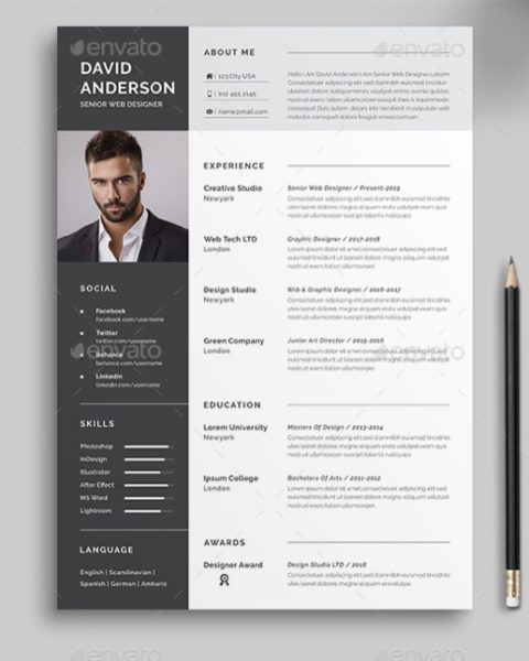 Modello curriculum