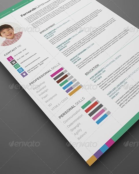 Modello curriculum
