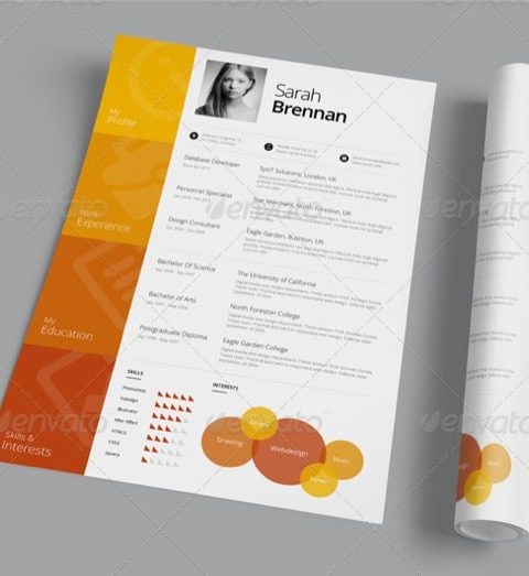 Modello curriculum