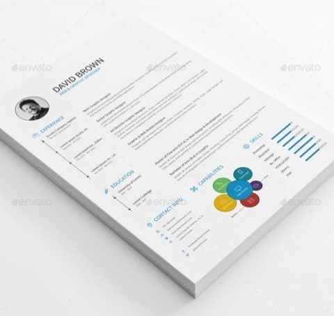 Modello curriculum