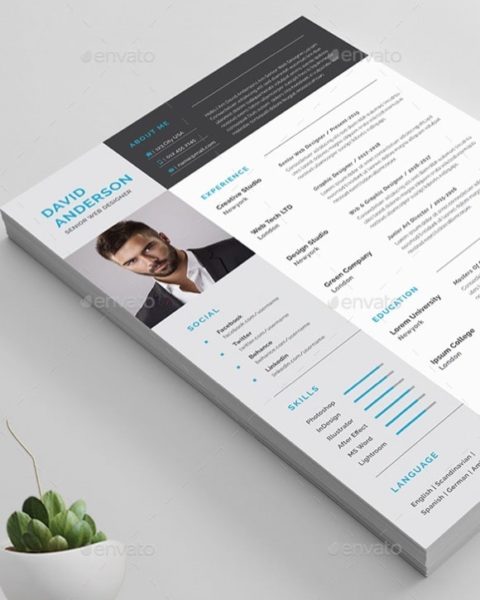 Modello curriculum