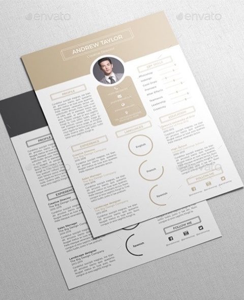 Modello curriculum