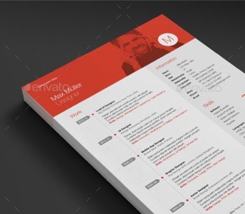 Modello curriculum